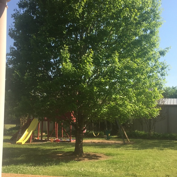 Meet your Posher, Shirley - Picture 1 of 1